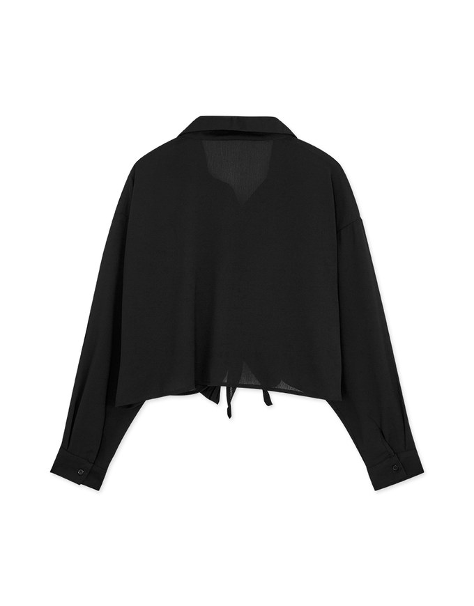 Transparent Sheer Tie-West Crop Blouse