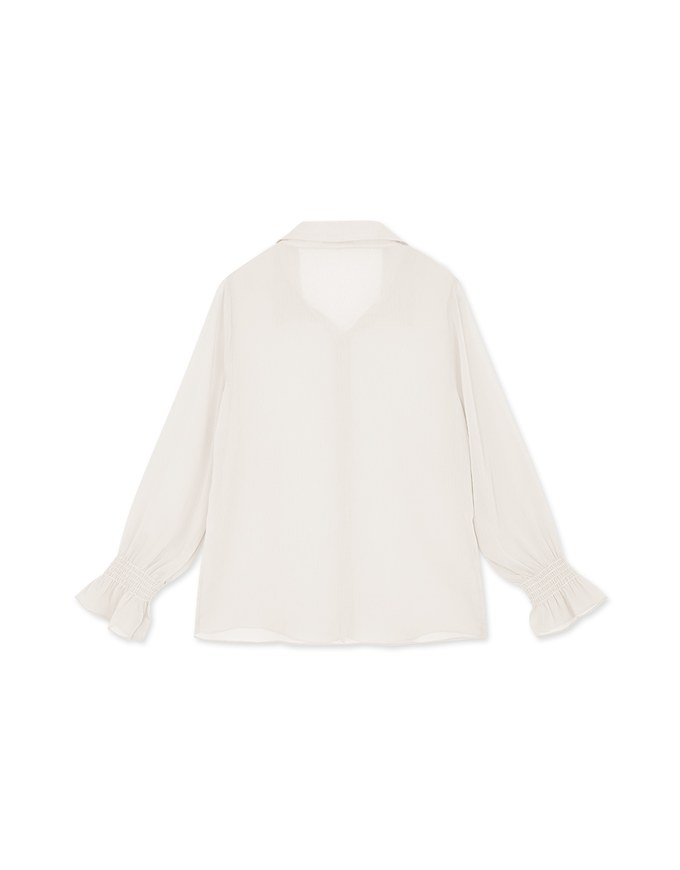Sheer Chiffon Elastic Sleeve Blouse