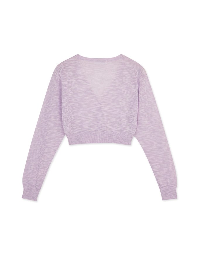 Sheer Mixed Yarn Knitted Top
