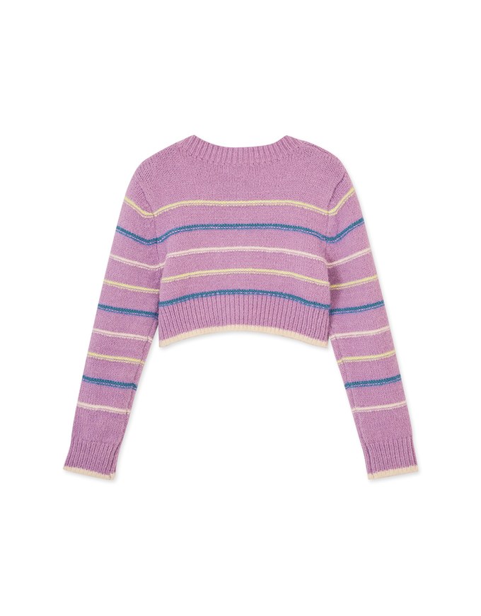Colorful Line Knitted Crop Top