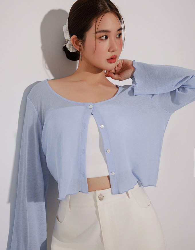 Sheer Ruffled Button Down Top