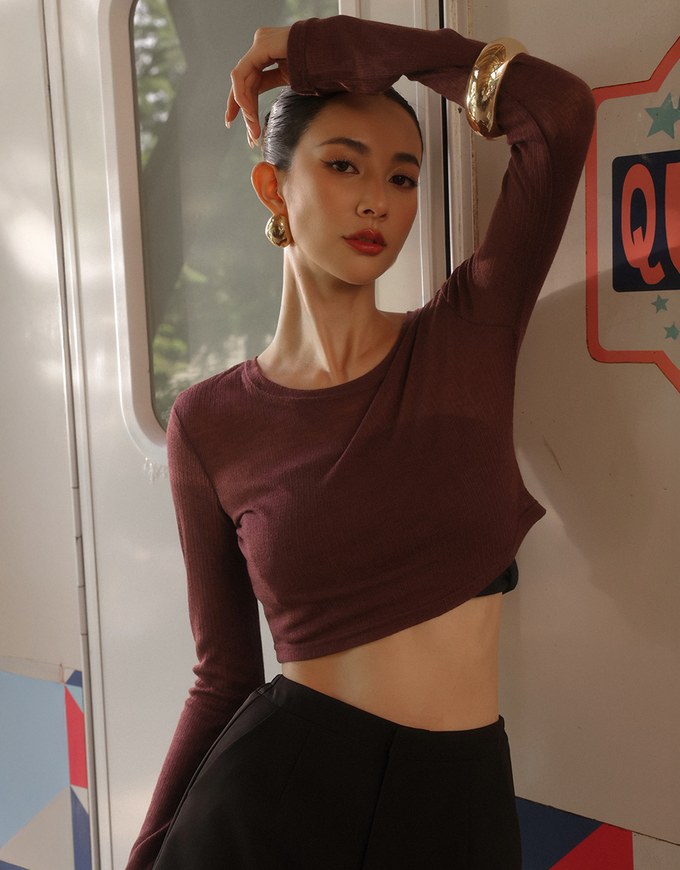 Sheer Knit Cropped Long Sleeve Top