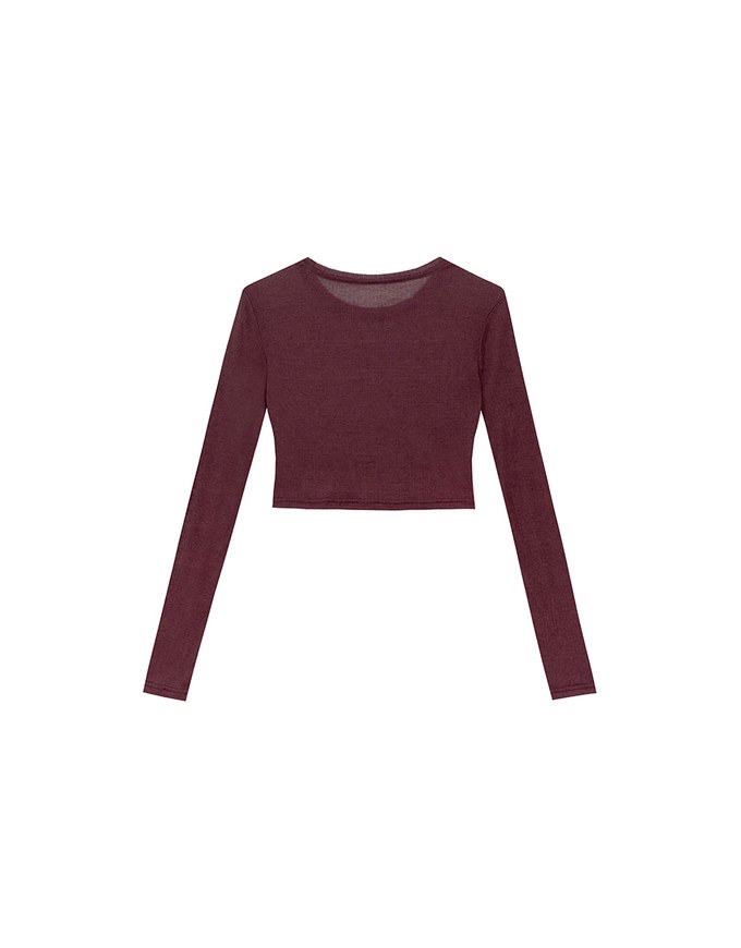 Sheer Knit Cropped Long Sleeve Top