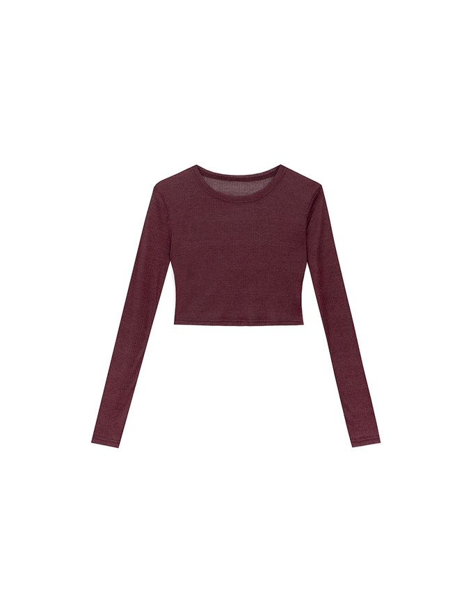Sheer Knit Cropped Long Sleeve Top