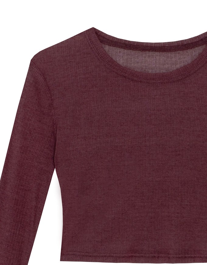 Sheer Knit Cropped Long Sleeve Top