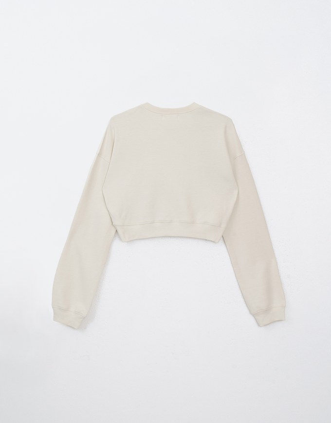 Letter Embroidered Cropped Sweatshirt