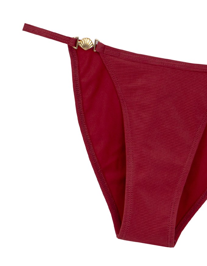 Golden Shell Accent Low Rise Bikini Bottom