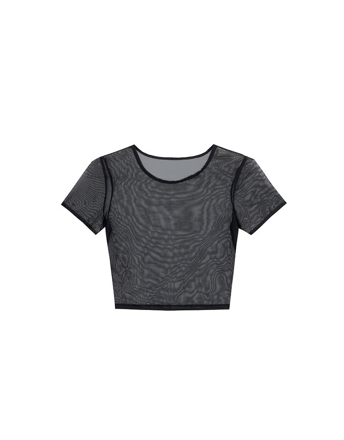Crew Neck Sheer Mesh Short Sleeve Cropped Tee