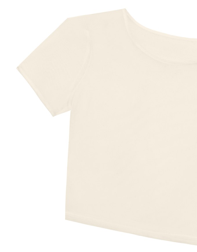 Crew Neck Sheer Mesh Short Sleeve Cropped Tee