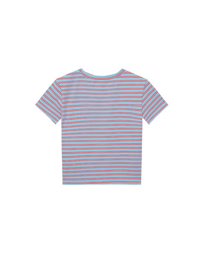 Retro Fit Striped Crew Neck Stretchy Cropped Tee