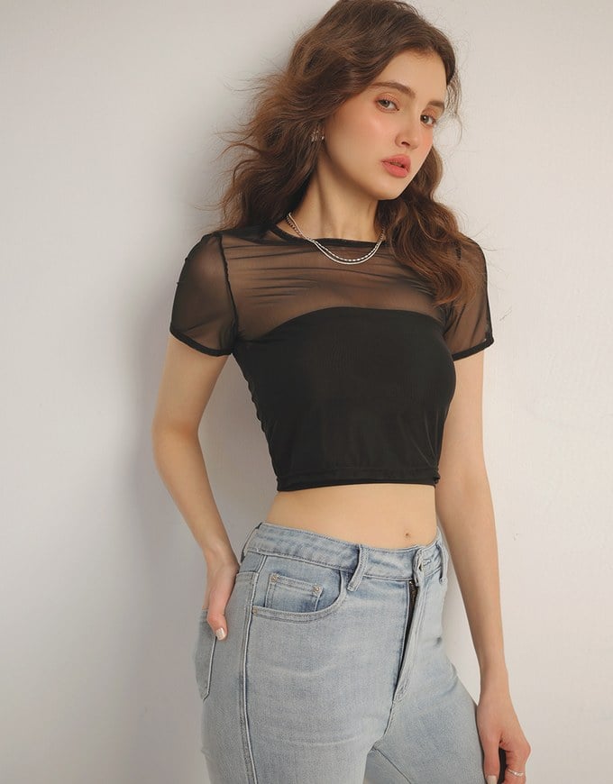 Crew Neck Sheer Mesh Short Sleeve Cropped Tee