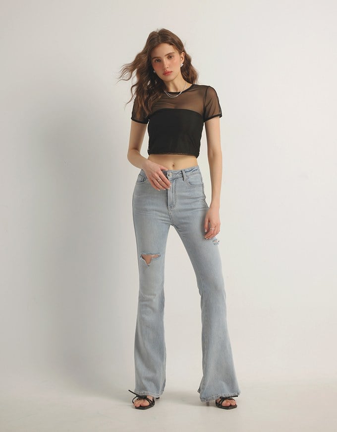 Crew Neck Sheer Mesh Short Sleeve Cropped Tee