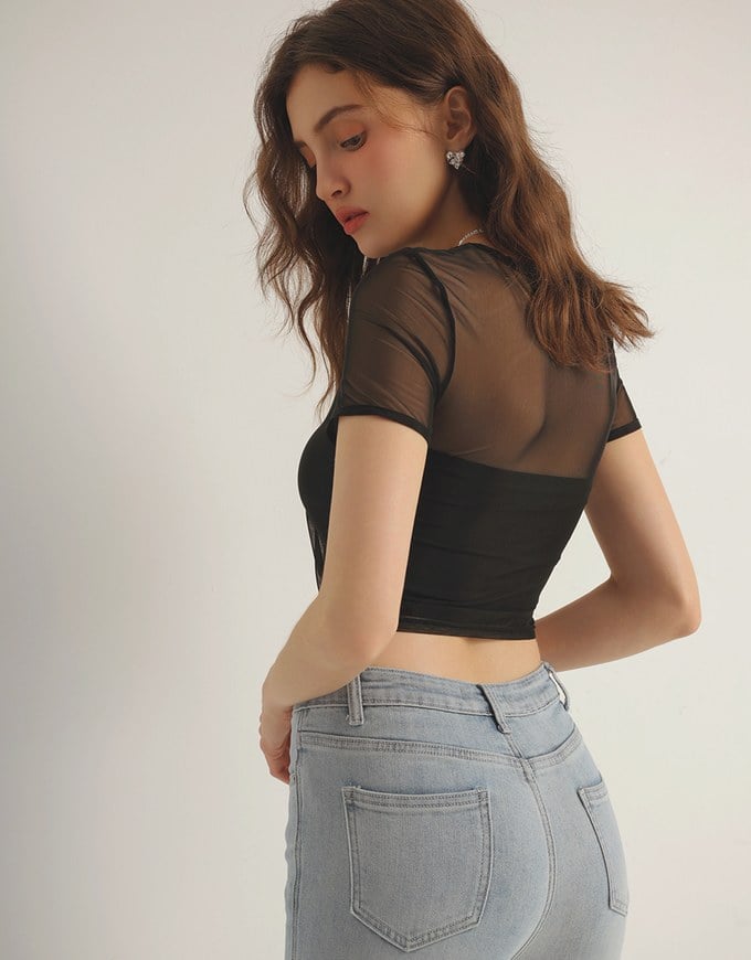 Crew Neck Sheer Mesh Short Sleeve Cropped Tee