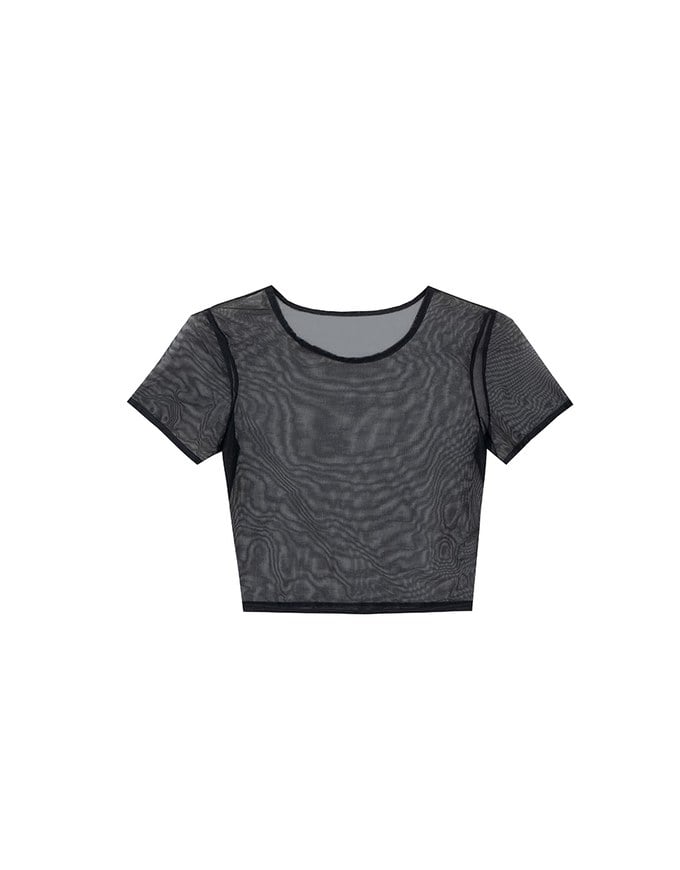 Crew Neck Sheer Mesh Short Sleeve Cropped Tee