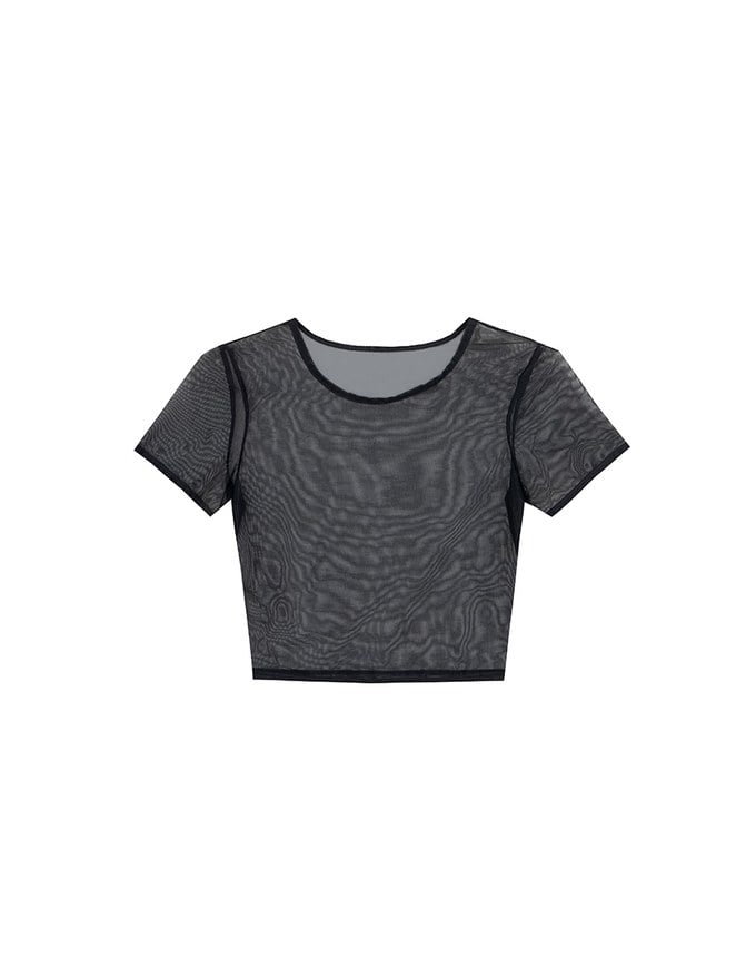 Crew Neck Sheer Mesh Short Sleeve Cropped Tee