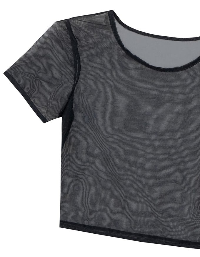 Crew Neck Sheer Mesh Short Sleeve Cropped Tee