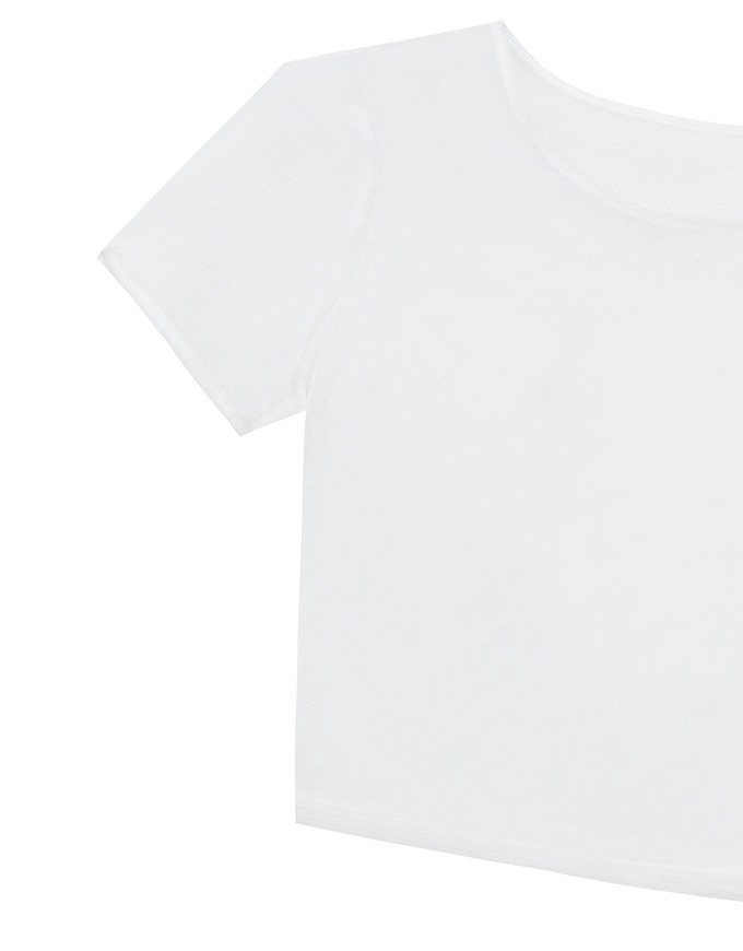 Crew Neck Sheer Mesh Short Sleeve Cropped Tee