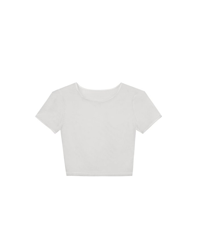 Crew Neck Sheer Mesh Short Sleeve Cropped Tee