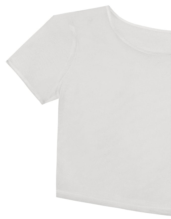 Crew Neck Sheer Mesh Short Sleeve Cropped Tee
