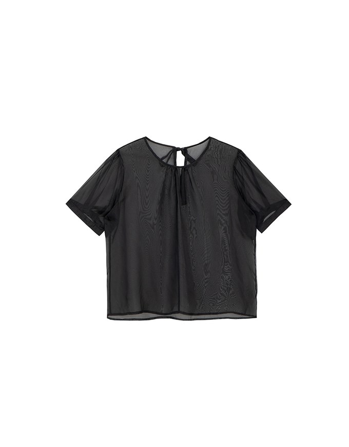 Puff Sleeve Transparent Mesh Top with Elegant Ribbon Back Design