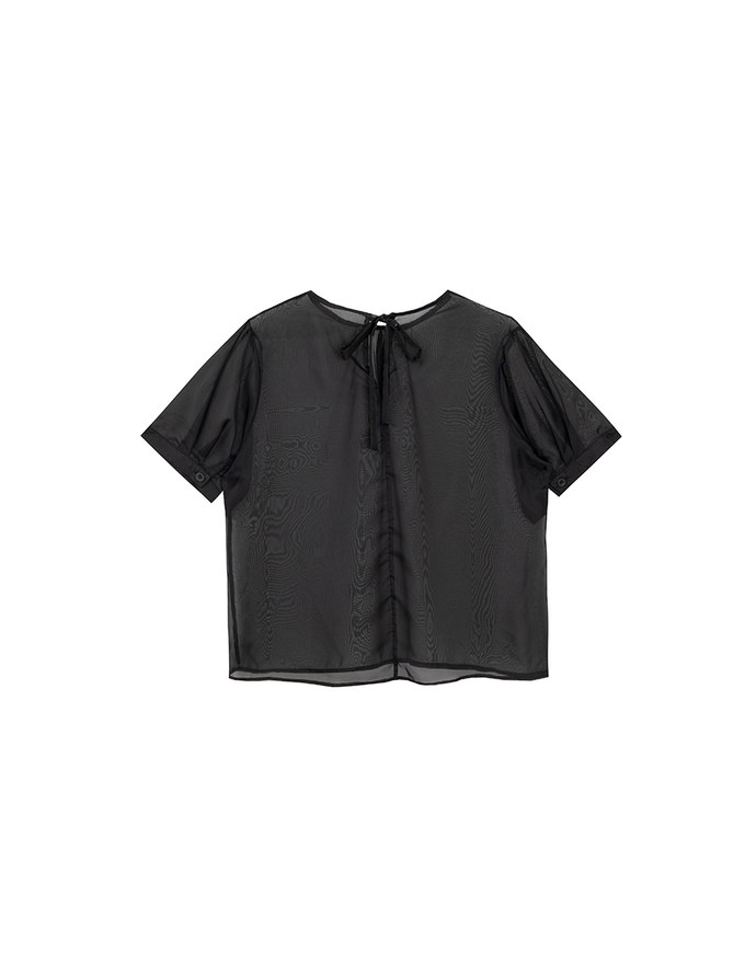 Puff Sleeve Transparent Mesh Top with Elegant Ribbon Back Design