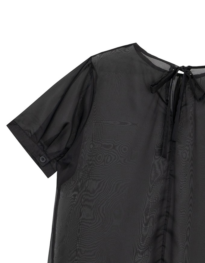 Puff Sleeve Transparent Mesh Top with Elegant Ribbon Back Design