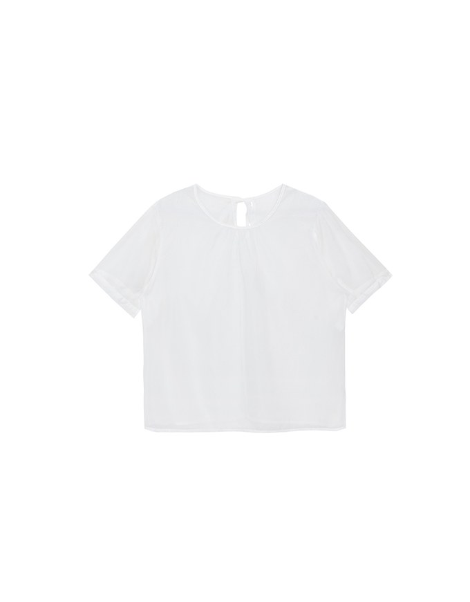 Puff Sleeve Transparent Mesh Top with Elegant Ribbon Back Design