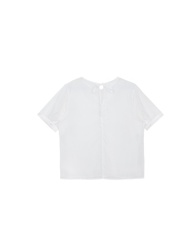 Puff Sleeve Transparent Mesh Top with Elegant Ribbon Back Design