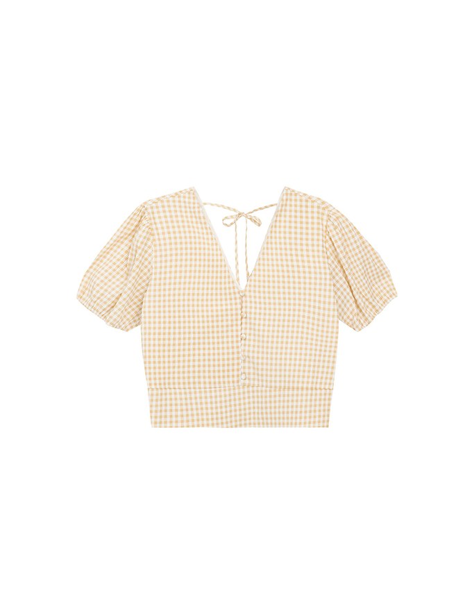 V Neck Gingham Crop Blouse with Puff Sleeves and Smocked Waistband