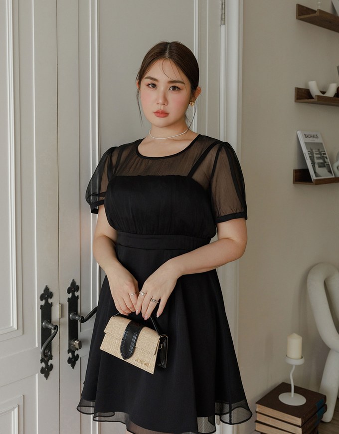 Layered Mesh Puff Sleeve Flare Mini Dress