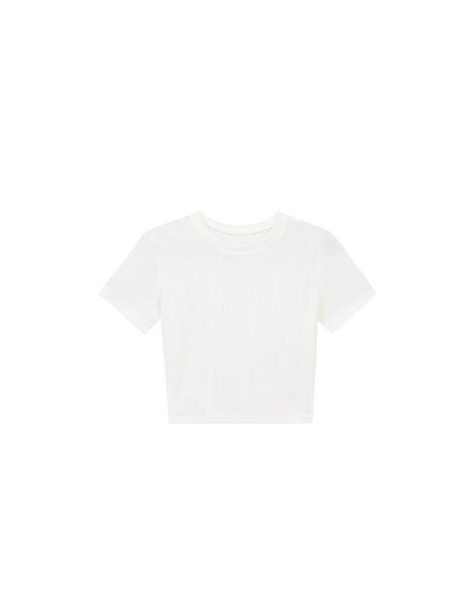 Contrast Trim Semi Sheer Knit Cropped Short Sleeve Tee