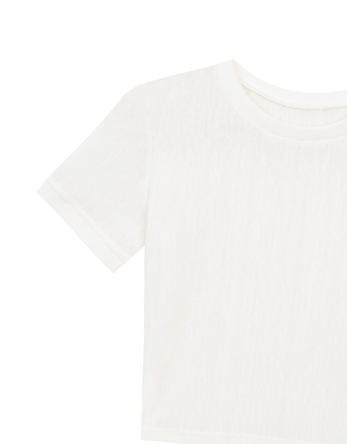 Contrast Trim Semi Sheer Knit Cropped Short Sleeve Tee