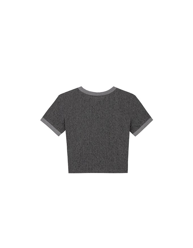 Contrast Trim Semi Sheer Knit Cropped Short Sleeve Tee