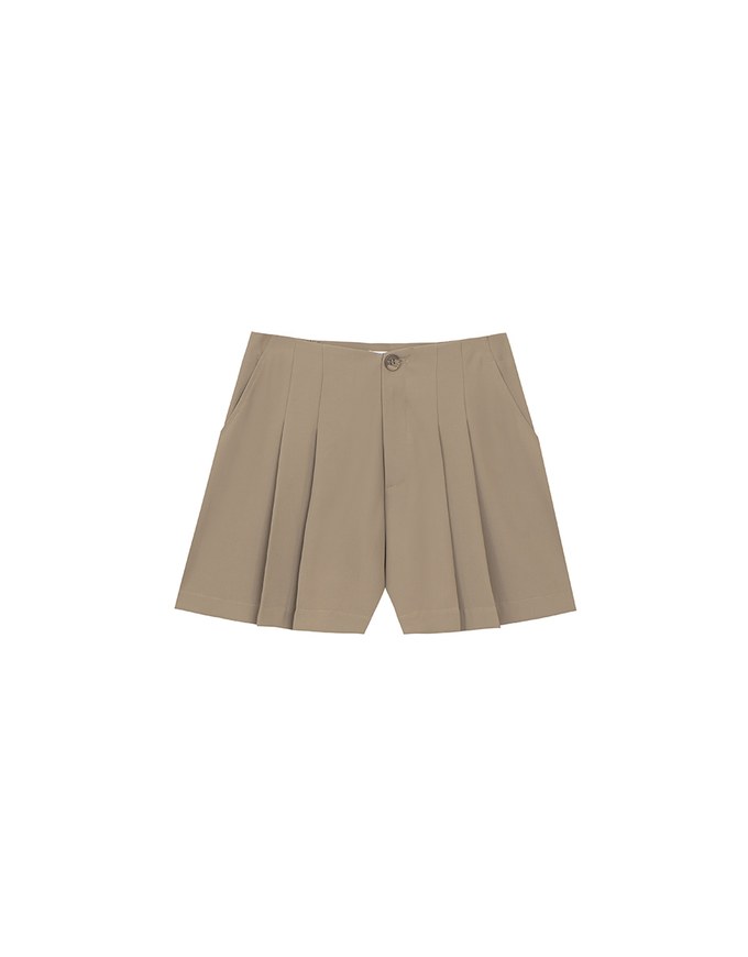 High Waist Pleated A Line Shorts