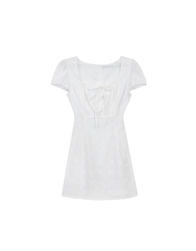 Square Neck Bow Embroidered Puff Sleeve Mini Dress
