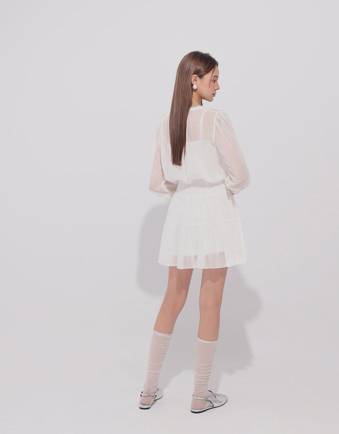 Sheer Chiffon Lace Trim Long Sleeve Mini Dress
