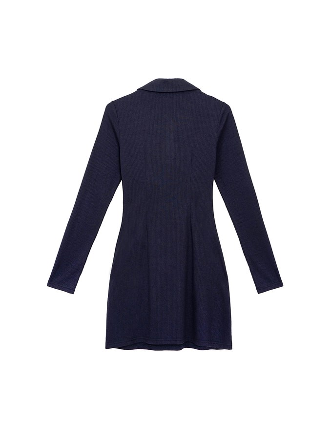 Fitted Ribbed Polo Neck Knit Mini Dress with AIR SPACE Logo Embroidery