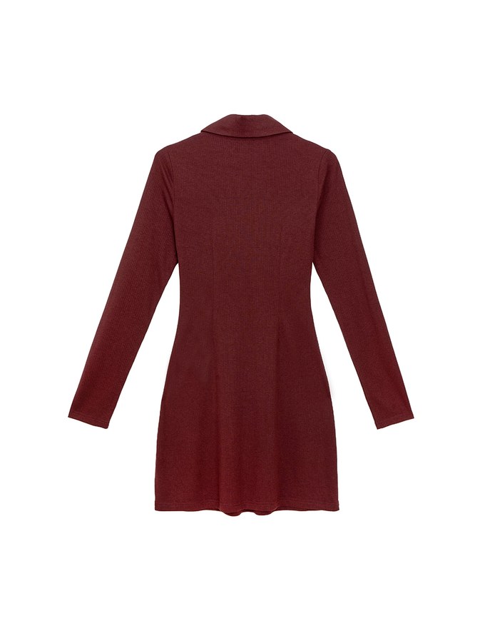 Fitted Ribbed Polo Neck Knit Mini Dress with AIR SPACE Logo Embroidery