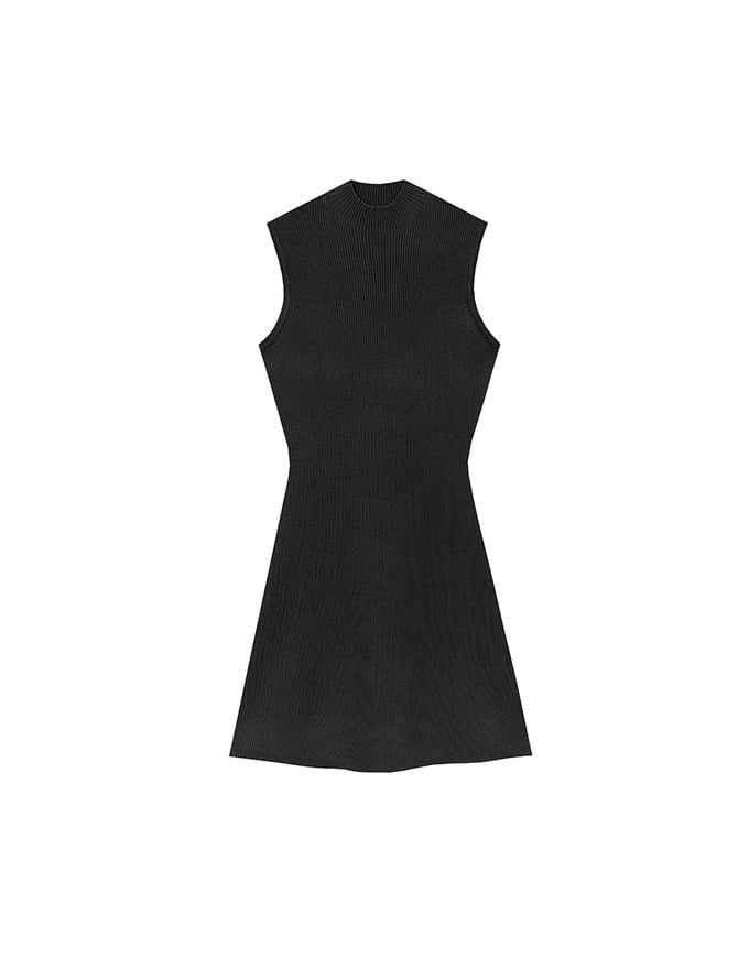 Mock Neck Sleeveless Ribbed Knit Mini Dress