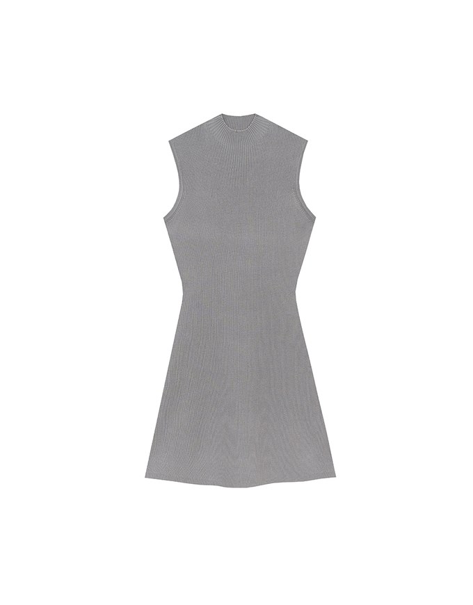 Mock Neck Sleeveless Ribbed Knit Mini Dress