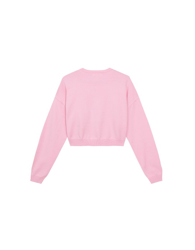 Fuzzy Letter Embroidered Cropped Knit Sweater