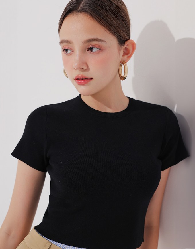Basic Crew Neck Knit Fitted Crop Top