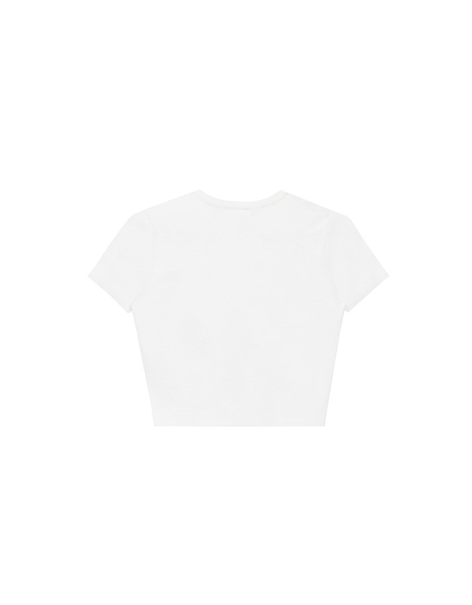 Basic Crew Neck Knit Fitted Crop Top