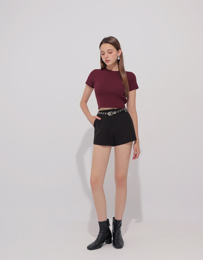 Basic Crew Neck Knit Fitted Crop Top