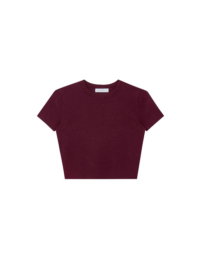 Basic Crew Neck Knit Fitted Crop Top