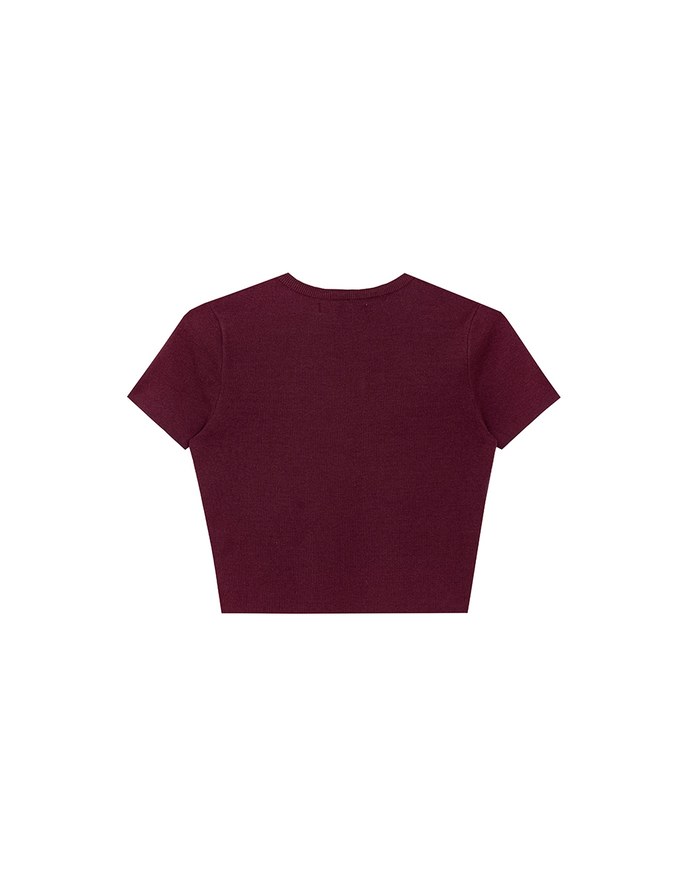 Basic Crew Neck Knit Fitted Crop Top
