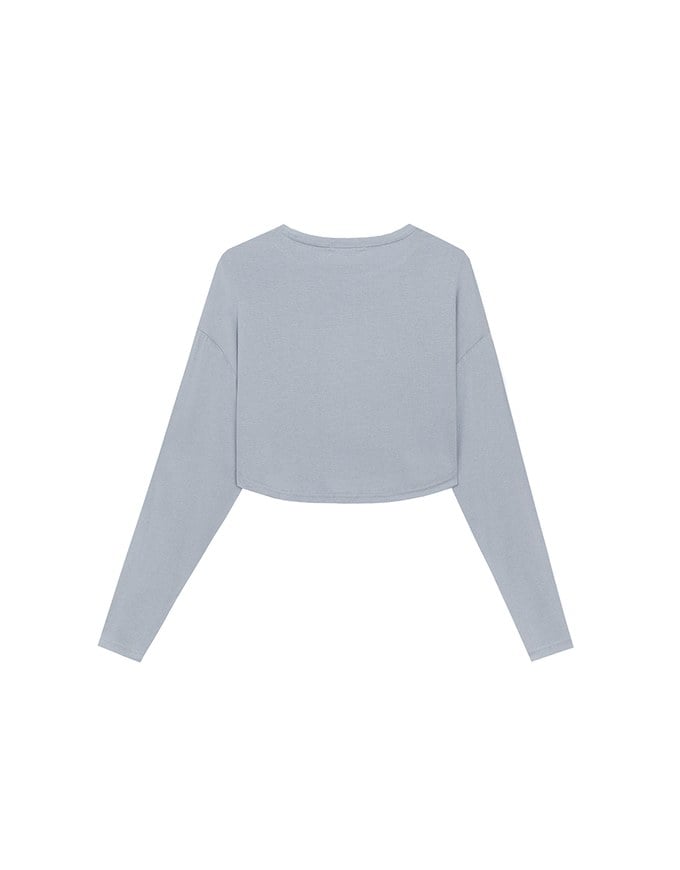 Basic Crew Neck Knit Fitted Long Sleeve Crop Top