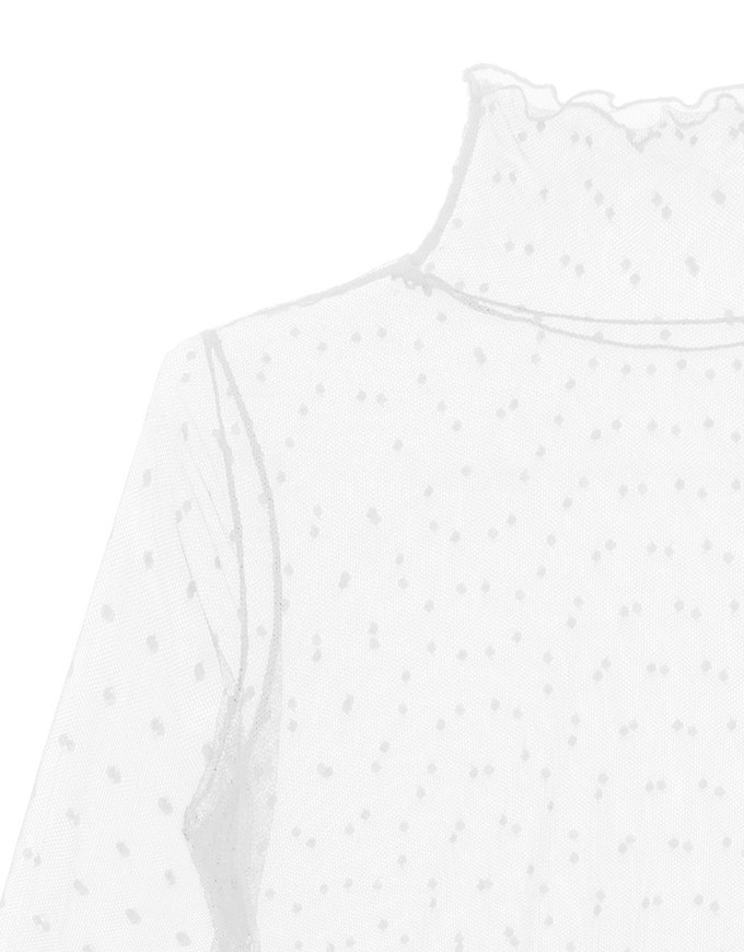 Turtleneck Sheer Ruffle Trim Top - Plain / Polka Dot Design