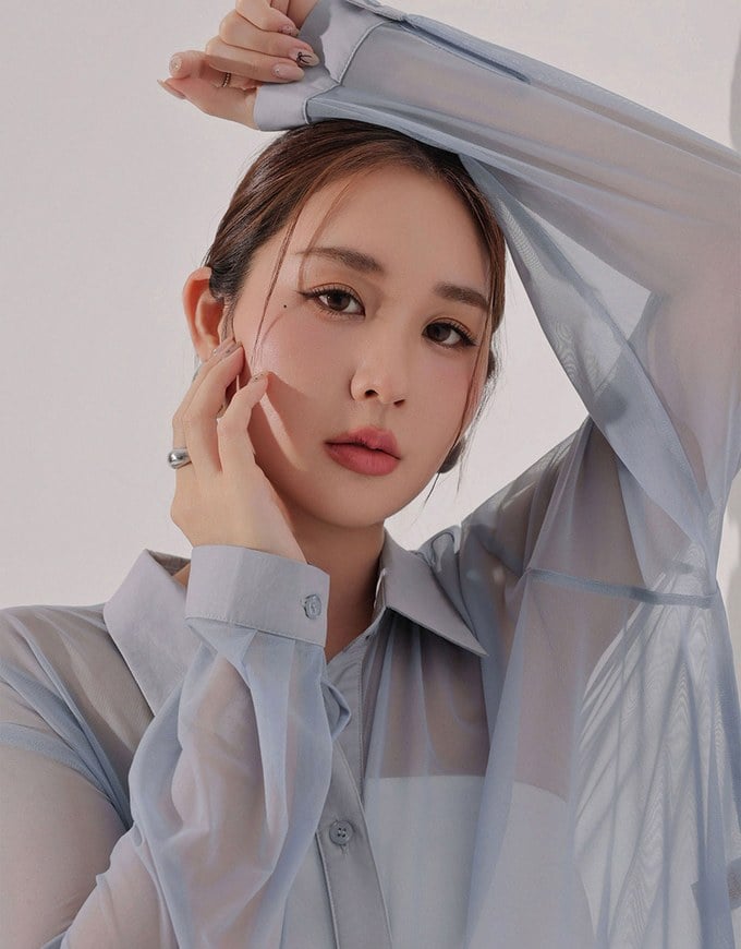 Lightweight Sheer Chiffon Collared Button Up Shirt Blouse