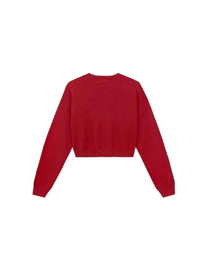 Fuzzy Letter Embroidered Cropped Knit Sweater